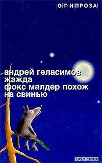 Читайте книги онлайн на Bookidrom.ru! Бесплатные книги в одном клике Андрей Геласимов - Фокс Малдер похож на свинью