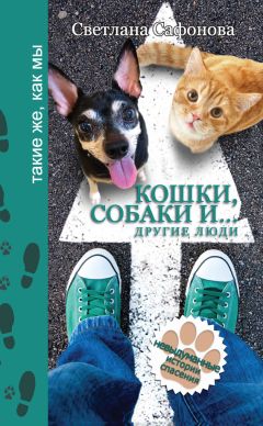 Читайте книги онлайн на Bookidrom.ru! Бесплатные книги в одном клике Светлана Сафонова - Кошки, собаки и… другие люди. Невыдуманные истории спасения