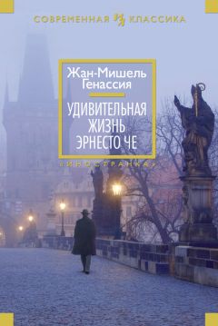 Читайте книги онлайн на Bookidrom.ru! Бесплатные книги в одном клике Жан-Мишель Генассия - Удивительная жизнь Эрнесто Че