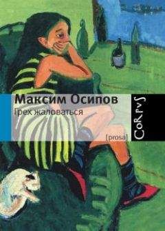 Читайте книги онлайн на Bookidrom.ru! Бесплатные книги в одном клике Максим Осипов - Грех жаловаться