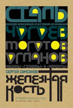Читайте книги онлайн на Bookidrom.ru! Бесплатные книги в одном клике Сергей Самсонов - Железная кость
