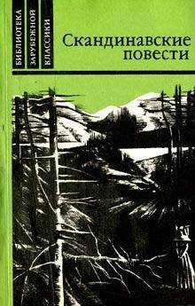 Читайте книги онлайн на Bookidrom.ru! Бесплатные книги в одном клике Вильхельм Муберг - Мужняя жена