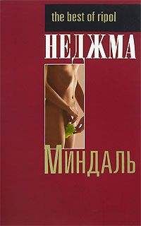 Читайте книги онлайн на Bookidrom.ru! Бесплатные книги в одном клике Неджма - Миндаль