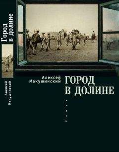 Читайте книги онлайн на Bookidrom.ru! Бесплатные книги в одном клике Алексей Макушинский - Город в долине