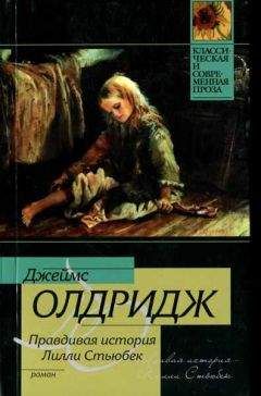 Читайте книги онлайн на Bookidrom.ru! Бесплатные книги в одном клике Джеймс Олдридж - Правдивая история Лилли Стьюбек
