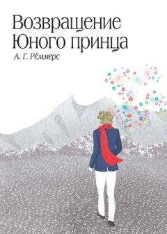 Читайте книги онлайн на Bookidrom.ru! Бесплатные книги в одном клике Алехандро Рёммерс - Возвращение Юного принца