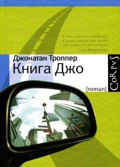 Читайте книги онлайн на Bookidrom.ru! Бесплатные книги в одном клике Джонатан Троппер - Книга Джо