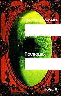 Читайте книги онлайн на Bookidrom.ru! Бесплатные книги в одном клике Виктор Ерофеев - Роскошь(рассказы)