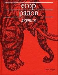 Читайте книги онлайн на Bookidrom.ru! Бесплатные книги в одном клике Егор Радов - Якутия