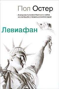 Читайте книги онлайн на Bookidrom.ru! Бесплатные книги в одном клике Пол Остер - Левиафан