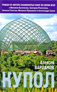 Читайте книги онлайн на Bookidrom.ru! Бесплатные книги в одном клике Алексей Варламов - Купол