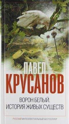 Читайте книги онлайн на Bookidrom.ru! Бесплатные книги в одном клике Павел Крусанов - Ворон белый. История живых существ