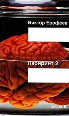 Читайте книги онлайн на Bookidrom.ru! Бесплатные книги в одном клике Виктор Ерофеев - Лабиринт Два: Остается одно: Произвол