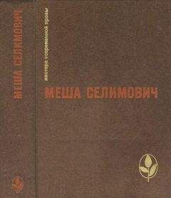 Читайте книги онлайн на Bookidrom.ru! Бесплатные книги в одном клике Меша Селимович - Избранное