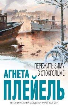 Читайте книги онлайн на Bookidrom.ru! Бесплатные книги в одном клике Агнета Плейель - Пережить зиму в Стокгольме