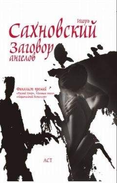 Читайте книги онлайн на Bookidrom.ru! Бесплатные книги в одном клике Игорь Сахновский - Заговор ангелов