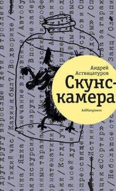 Читайте книги онлайн на Bookidrom.ru! Бесплатные книги в одном клике Андрей Аствацатуров - Скунскамера