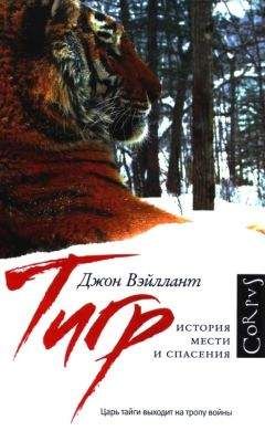 Читайте книги онлайн на Bookidrom.ru! Бесплатные книги в одном клике Джон Вэйллант - Тигр. История мести и спасения