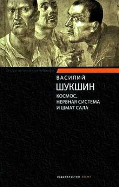 Читайте книги онлайн на Bookidrom.ru! Бесплатные книги в одном клике Василий Шукшин - Космос, нервная система и шмат сала