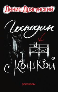 Читайте книги онлайн на Bookidrom.ru! Бесплатные книги в одном клике Денис Драгунский - Господин с кошкой