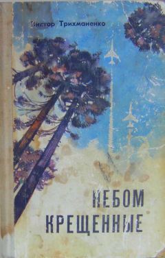 Читайте книги онлайн на Bookidrom.ru! Бесплатные книги в одном клике Виктор Трихманенко - Небом крещенные