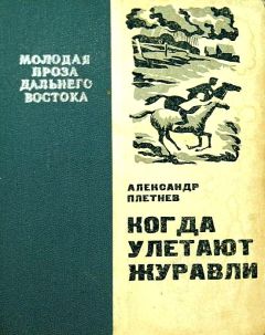 Читайте книги онлайн на Bookidrom.ru! Бесплатные книги в одном клике Александр Плетнев - Когда улетают журавли