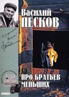 Василий Песков - Полное собрание сочинений. Том 19. Про братьев меньших