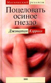 Читайте книги онлайн на Bookidrom.ru! Бесплатные книги в одном клике Джонатан Кэрролл - Поцеловать осиное гнездо