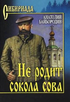 Читайте книги онлайн на Bookidrom.ru! Бесплатные книги в одном клике Анатолий Байбородин - Не родит сокола сова