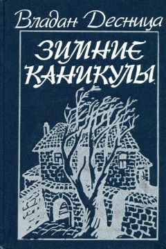 Читайте книги онлайн на Bookidrom.ru! Бесплатные книги в одном клике Владан Десница - Зимние каникулы