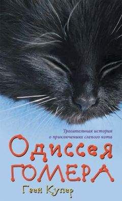 Читайте книги онлайн на Bookidrom.ru! Бесплатные книги в одном клике Гвен Купер - Одиссея Гомера