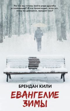 Читайте книги онлайн на Bookidrom.ru! Бесплатные книги в одном клике Брендан Кили - Евангелие зимы