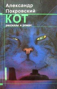 Читайте книги онлайн на Bookidrom.ru! Бесплатные книги в одном клике Александр Покровский - Кот (сборник)