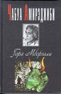 Читайте книги онлайн на Bookidrom.ru! Бесплатные книги в одном клике Чабуа Амирэджиби - Гора Мборгали