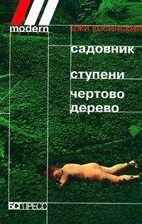 Читайте книги онлайн на Bookidrom.ru! Бесплатные книги в одном клике Ежи Косински - Садовник