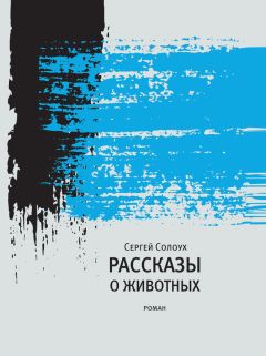 Читайте книги онлайн на Bookidrom.ru! Бесплатные книги в одном клике Сергей Солоух - Рассказы о животных