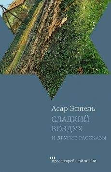 Читайте книги онлайн на Bookidrom.ru! Бесплатные книги в одном клике Асар Эппель - Сладкий воздух и другие рассказы