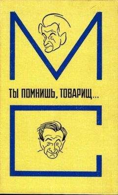 Читайте книги онлайн на Bookidrom.ru! Бесплатные книги в одном клике Л. Либединская - Ты помнишь, товарищ… Воспоминания о Михаиле Светлове