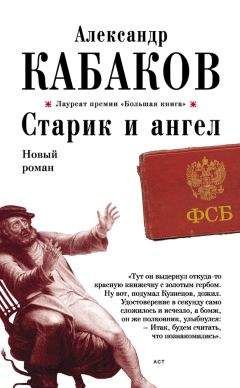 Читайте книги онлайн на Bookidrom.ru! Бесплатные книги в одном клике Александр Кабаков - Старик и ангел