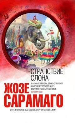 Читайте книги онлайн на Bookidrom.ru! Бесплатные книги в одном клике Жозе Сарамаго - Странствие слона