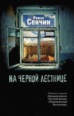 Читайте книги онлайн на Bookidrom.ru! Бесплатные книги в одном клике Роман Сенчин - На черной лестнице (сборник)