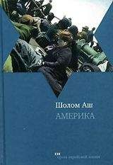 Читайте книги онлайн на Bookidrom.ru! Бесплатные книги в одном клике Шалом Аш - Америка