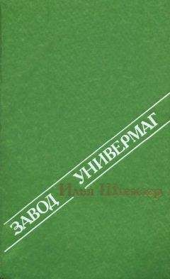 Читайте книги онлайн на Bookidrom.ru! Бесплатные книги в одном клике Илья Штемлер - Завод