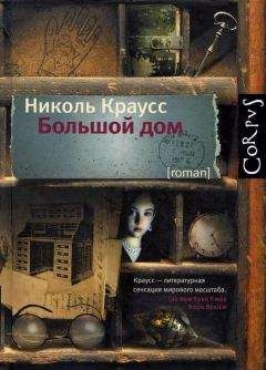 Читайте книги онлайн на Bookidrom.ru! Бесплатные книги в одном клике Николь Краусс - Большой дом