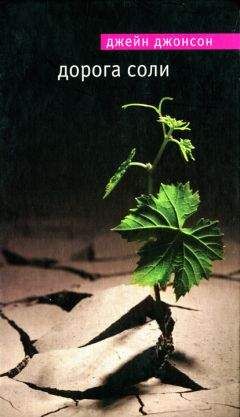 Читайте книги онлайн на Bookidrom.ru! Бесплатные книги в одном клике Джейн Джонсон - Дорога соли