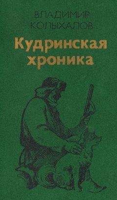 Читайте книги онлайн на Bookidrom.ru! Бесплатные книги в одном клике Владимир Колыхалов - Кудринская хроника