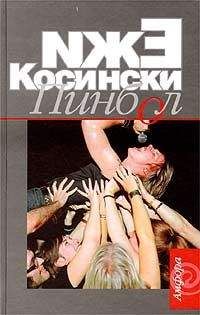 Читайте книги онлайн на Bookidrom.ru! Бесплатные книги в одном клике Ежи Косински - Пинбол