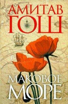 Читайте книги онлайн на Bookidrom.ru! Бесплатные книги в одном клике Амитав Гош - Маковое Море