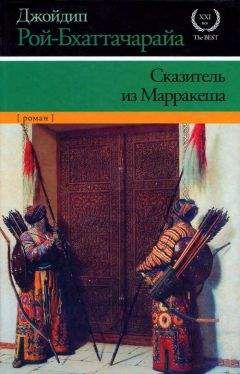 Читайте книги онлайн на Bookidrom.ru! Бесплатные книги в одном клике Джойдип Рой-Бхаттачарайа - Сказитель из Марракеша