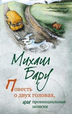Читайте книги онлайн на Bookidrom.ru! Бесплатные книги в одном клике Михаил Бару - Повесть о двух головах, или Провинциальные записки